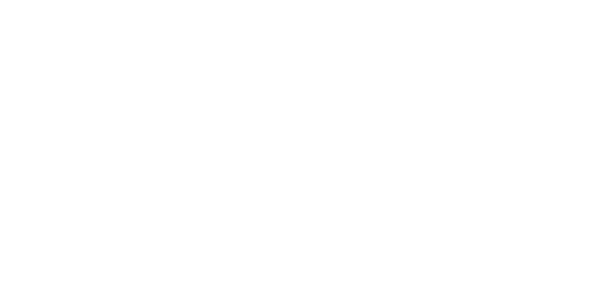 DISCLAIMER